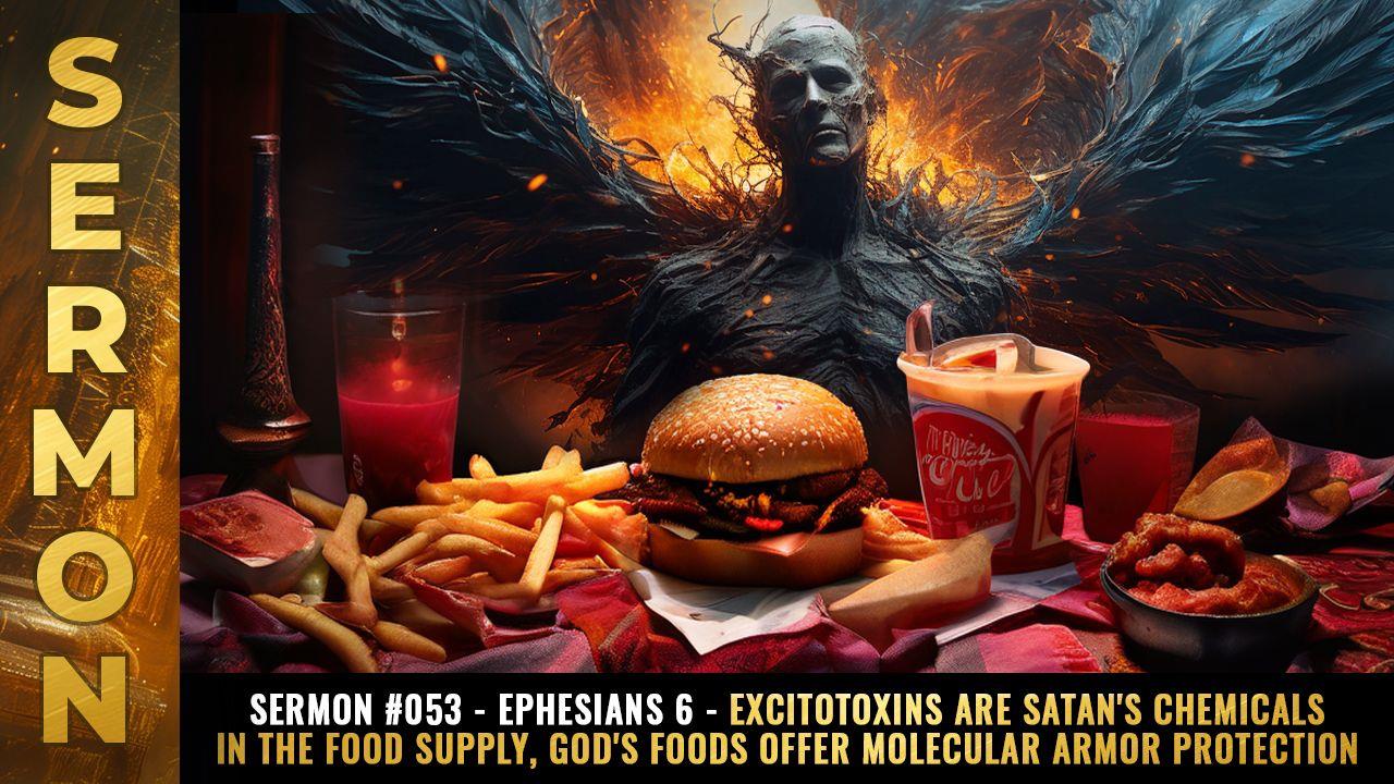 Sermon #053 - Ephesians 6 - EXCITOTOXINS are Satan's chemicals in the food supply, God's foods offer molecular ARMOR protection