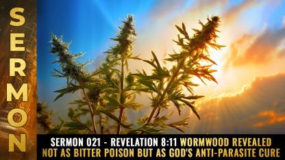 Sermon #021 - Revelation 8:11 Wormwood revealed not as bitter poison but as God's anti-parasite CURE