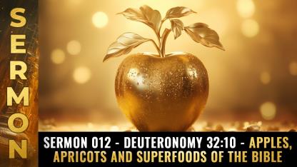 Sermon 012 - Deuteronomy 32:10 - Apples, Apricots and SUPERFOODS of the Bible